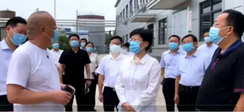 焦作市委書記葛巧紅一行蒞臨旭瑞集團參觀調(diào)研！